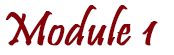 mod 1